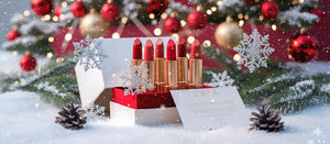 Holiday Gift Guide 2025